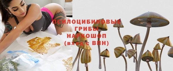 прущая мука Елабуга