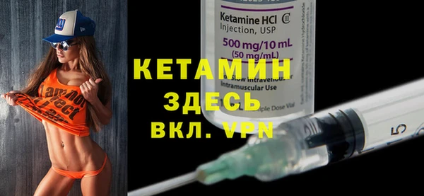 амф Ельня