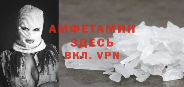 амф Ельня