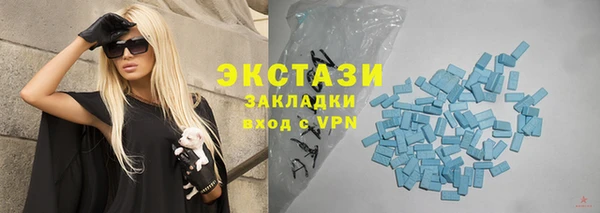амф Ельня