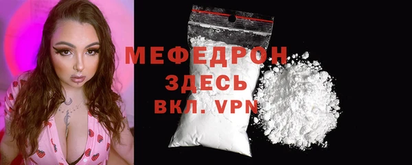 амф Ельня