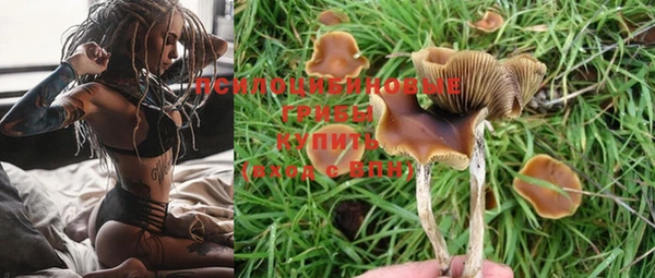 амф Ельня