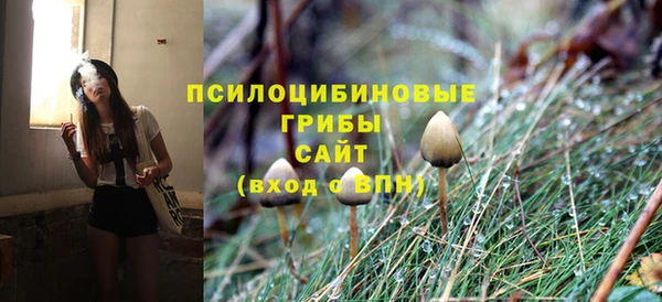 прущая мука Елабуга