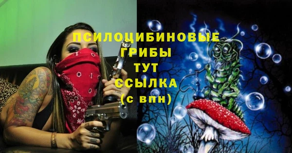 прущая мука Елабуга