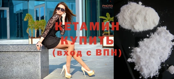 амф Ельня