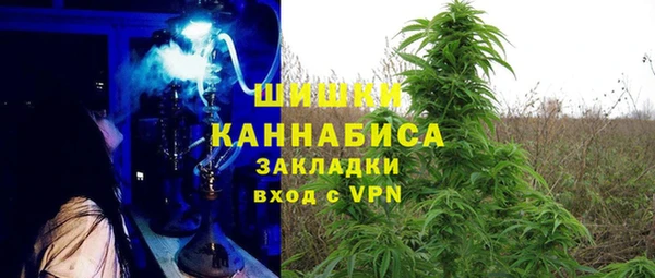 амф Ельня
