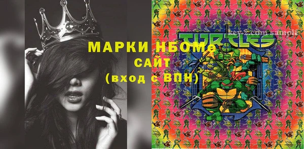 амф Ельня