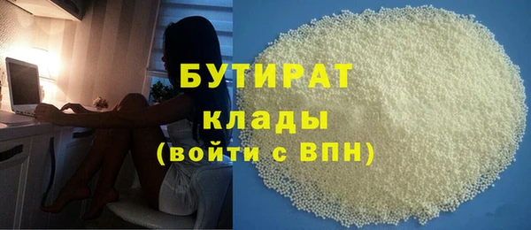амф Ельня