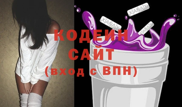 амф Ельня