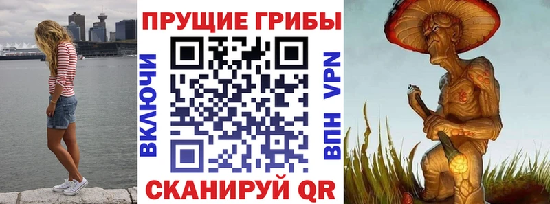 Купить закладки  Зеленогорск  Псилоцибиновые грибы мухоморы 